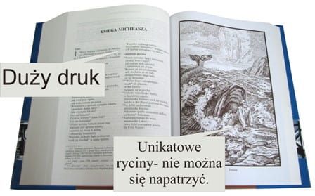 Biblia papieska - Pallotinum e-religijne.pl