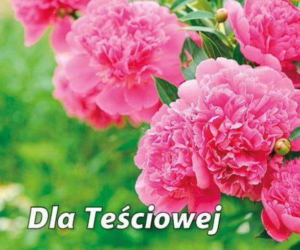 Księgarnia chrześcijańska e-religijne.pl Edycja św. Pawła - książeczki na prezent