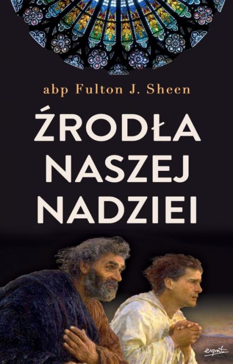 Źródła naszej nadziei. Nieprzemijające słowa pociechy i ufności - abp Fulton Sheen | księgarnia | książki abp Fultona Sheena