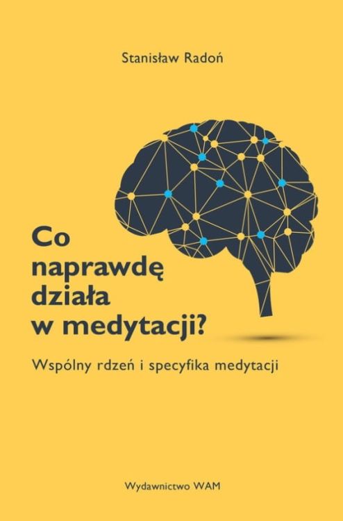 Co naprawdę działa w medytacji? Wspólny rdzeń i specyfika medytacji - Stanisław Radoń księgarnia religijna