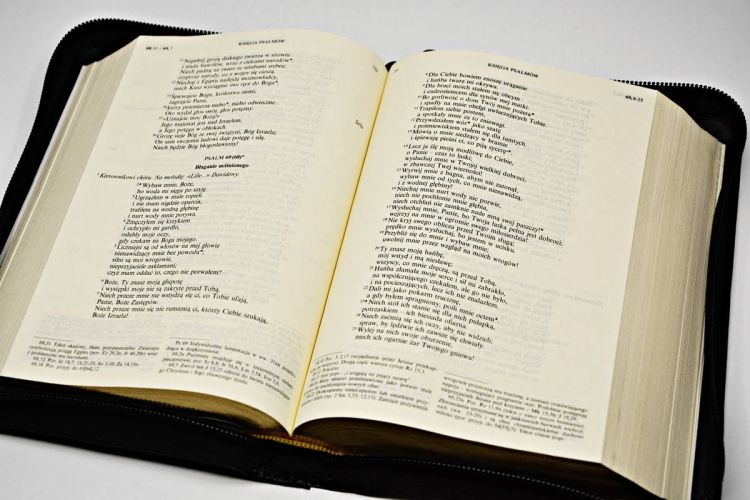 Biblia Pielgrzyma w skórzanym futerale złocone brzegi Pallottinum wydawnictwo