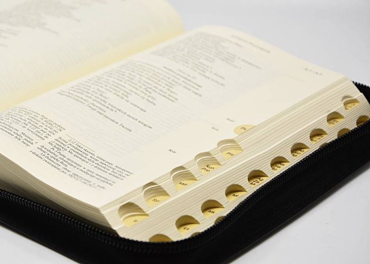 Biblia Tysiąclecia Pallottinum oazowa w skórzanym futerale z paginatorami