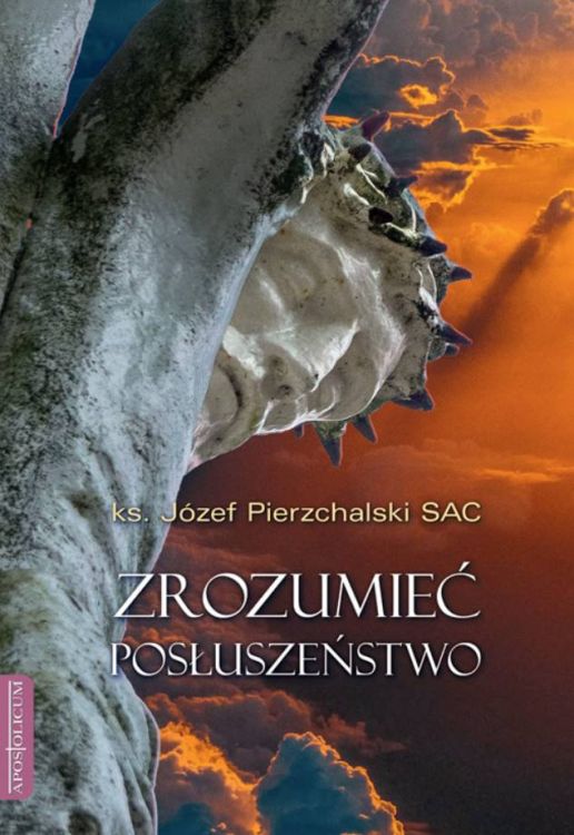 Apostolicum: ZROZUMIEĆ posłuszeństwo - ks. Józef Pierzchalski SAC księgarnia religijna