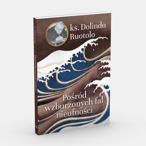 Pośród wzburzonych fal nieufności - ks. Dolindo Ruotolo księgarnia religijna sklep