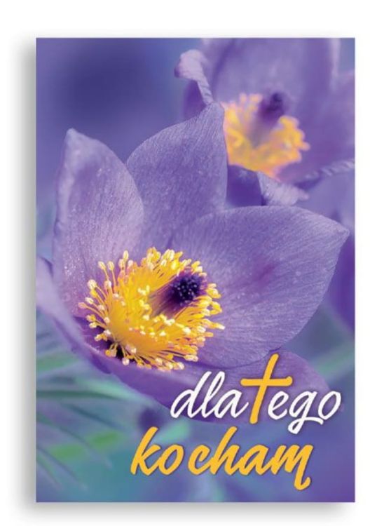 Księgarnia Edycja Świętego Pawła: Kalendarz na biurko na 2024 "Dlatego kocham" - Edycja Świętego Pawła