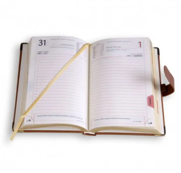 Otwarty terminarz książkowy B6 na 2025 rok z brązową okładką i tasiemką zakładkową, widoczne strony z godzinowym podziałem dnia