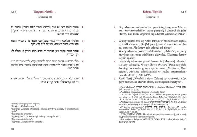 Biblia Aramejska: Płonący krzew w Targumie Neofiti 1 - starożytne interpretacje Księgi Wyjścia z komentarzem naukowym  GAUDIUM WYDAWNICTWO