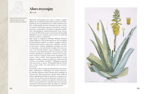 Okładka książki Ilustrowany zielnik Hildegardy z Bingen. Przewodnik po ziołach i medycynie Świętej, łączący zdrowie z duchowością.