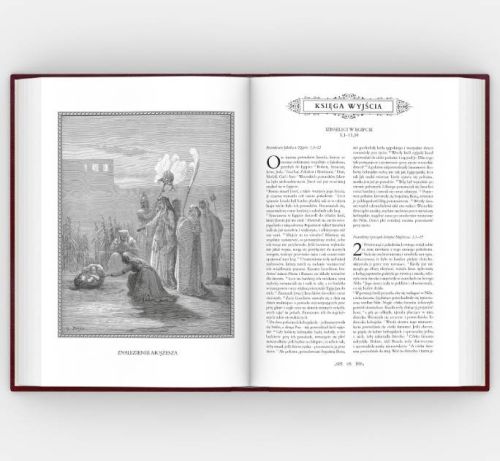 Wnętrze Biblii Edukacyjnej – ilustracja Gustave'a Doré Znalezienie Mojżesza, Księga Wyjścia