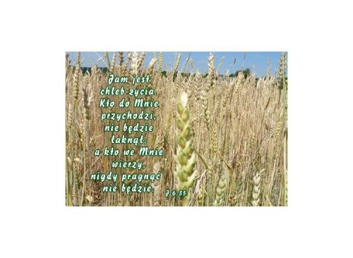 Magnes: Jam jest chlebem życia ... e-religijne.pl