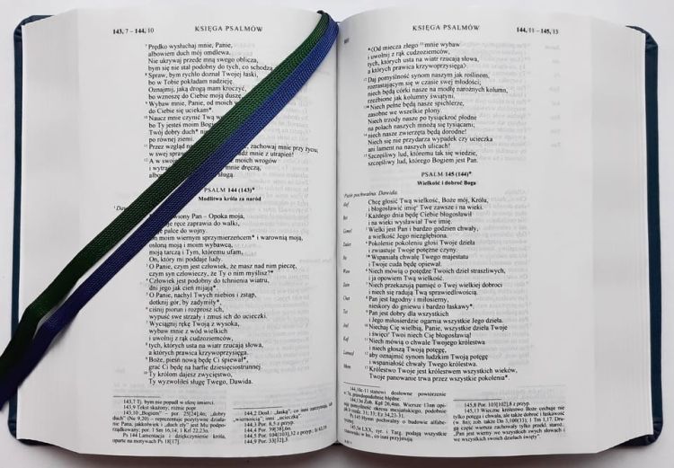 Biblia Tysiąclecia Pismo Święte - wersja TRAVEL księgarnia chrześcijańska wydawnictwo PALLOTTINUM