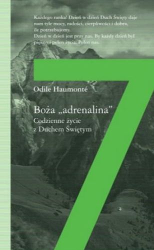 Boża "adrenalina". Codzienne życie z Duchem Świętym - Odile Haumonte wydawnictwo św. Wojciecha księgarnia religijna sklep