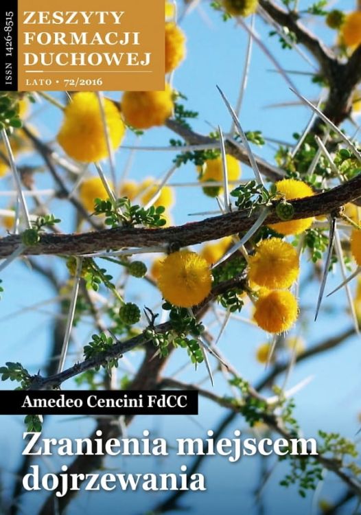 Zranienia miejscem dojrzewania - Amadeo Cencini - Zeszyty Formacji Duchowej nr 72 SALWATOR WYDAWNICTWO - KSIĘGARNIA RELIGIJNA - sklep chrzescijański