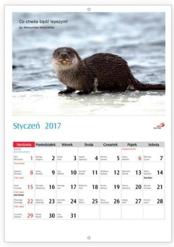 Chrześcijański kalendarz ścienny na 2017 rok "Pozdrowienia z Polski" EDYCJA ŚW. PAWŁA Kalendarze na ścianę ze zdjęciami i cytatami KSIĘGARNIA e-religijne.pl