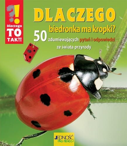 Dlaczego biedronka ma kropki? e-religijne.pl