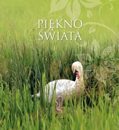 Muszelka - Piękno świata - książeczka upominkowa e-religijne.pl