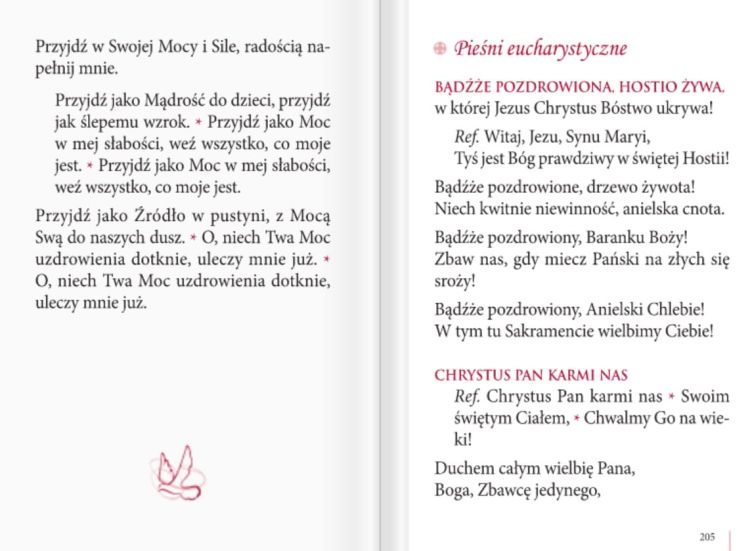 Kocham Cię Jezu - Modlitewnik Pamiątka Pierwszej Komunii Świętej wydawnictwo św. Wojciech księgarnia chrześcijańska e-religijne.pl