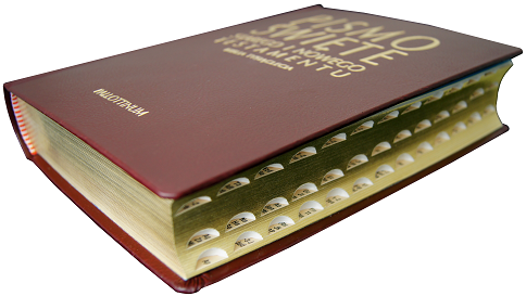 Biblia Tysiąclecia. Pismo Święte Starego i Nowego Testamentu (Skóra ekologiczna, złocone brzegi, paginatory) e-religijne.pl