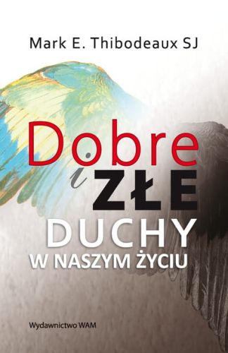DOBRE I ZŁE DUCHY W NASZYM ŻYCIU - Mark E. Thibodeaux SJ e-religijne.pl