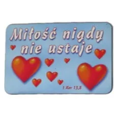 magnes nr3.jpg