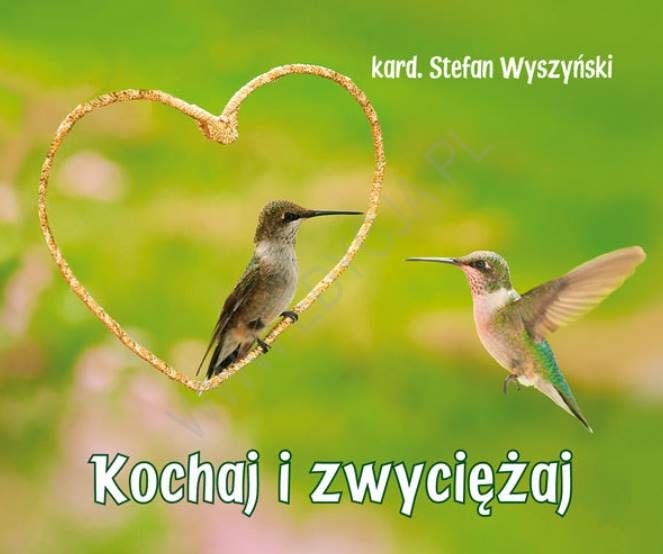 Perełka - Kochaj i zwyciężaj - książeczka upominkowa Edycja Świętego Pawła