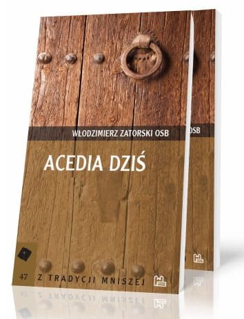 Acedia dziś - Włodzimierz Zatorski OSB e-religijne.pl