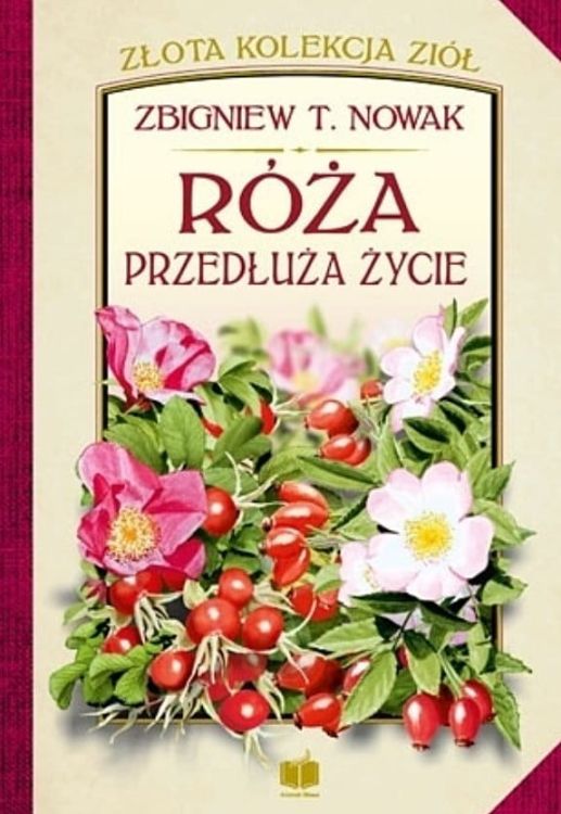 Róża przedłuża życie - Zbigniew T. Nowak księgarnia chrześcijańska e-religijne.pl sklep chrześcijański