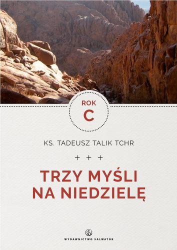 Księgarnia chrześcijańska Trzy myśli na niedzielę. Rok C - Trzy myśli na niedzielę. Rok C - ks. Tadeusz Talik TChr Sklep e-religijne.pl