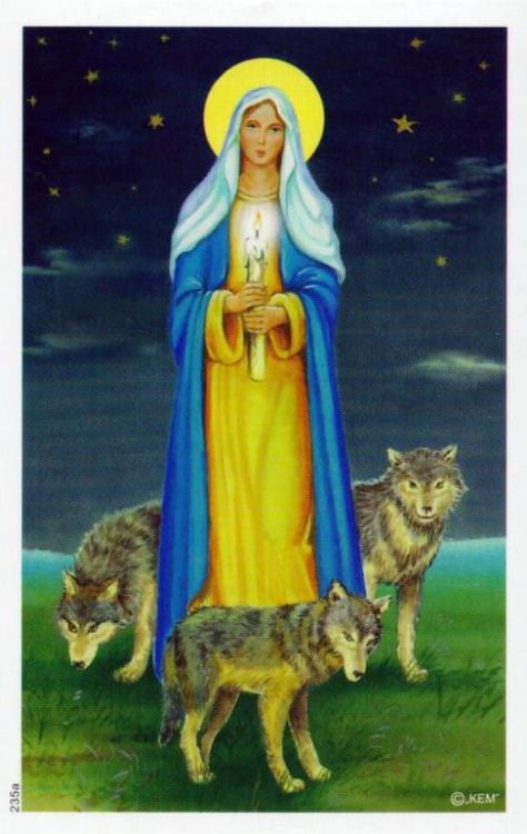 Obrazek z Matką Bożą Gromniczną (7x10) - 100 sztuk dewocjonalia artykuły liturgiczne pomoce katechetyczne sklep e-religijne.pl