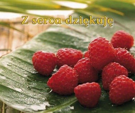 Perełka - Z serca dziekuję! Upominkowa książeczka, która pomoże Ci wyrazić swoją wdzięczność. EDYCJA ŚW. PAWŁA - Perełki - książeczki prezentowe - księgarnia religijna