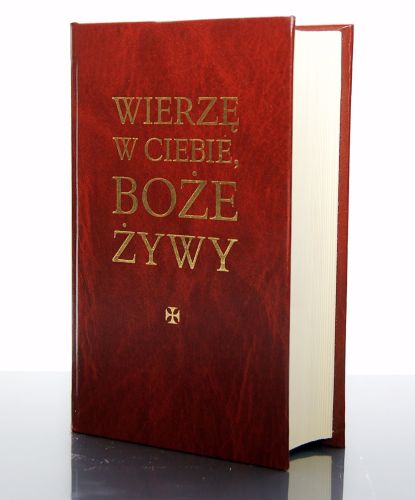 Wierzę w Ciebie Boże Żywy. Modlitewnik - Ks. Waldemar Wojdecki e-religijne.pl