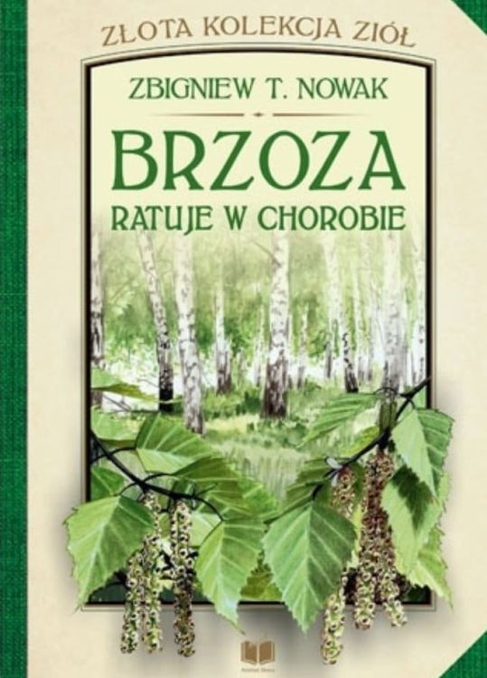Religijna księgarnia chrześcijańska - Brzoza ratuje w chorobie - Zbigniew T. Nowak książki Zbigniewa Nowaka
